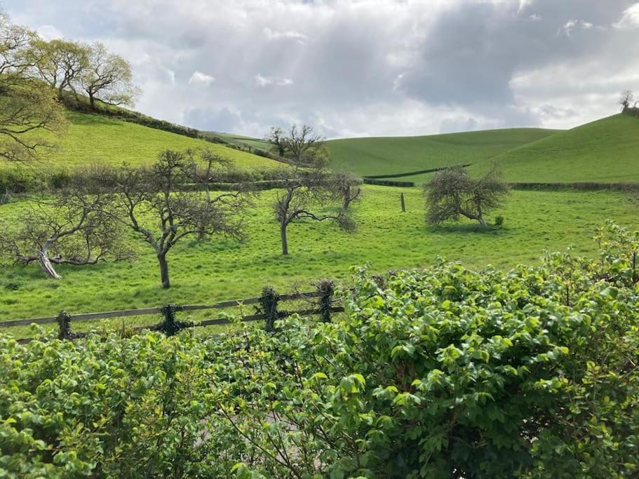 Charming Countryside Cottage Ground Floor Apartment In Combeinteignhead Devon Bishopsteignton Luaran gambar